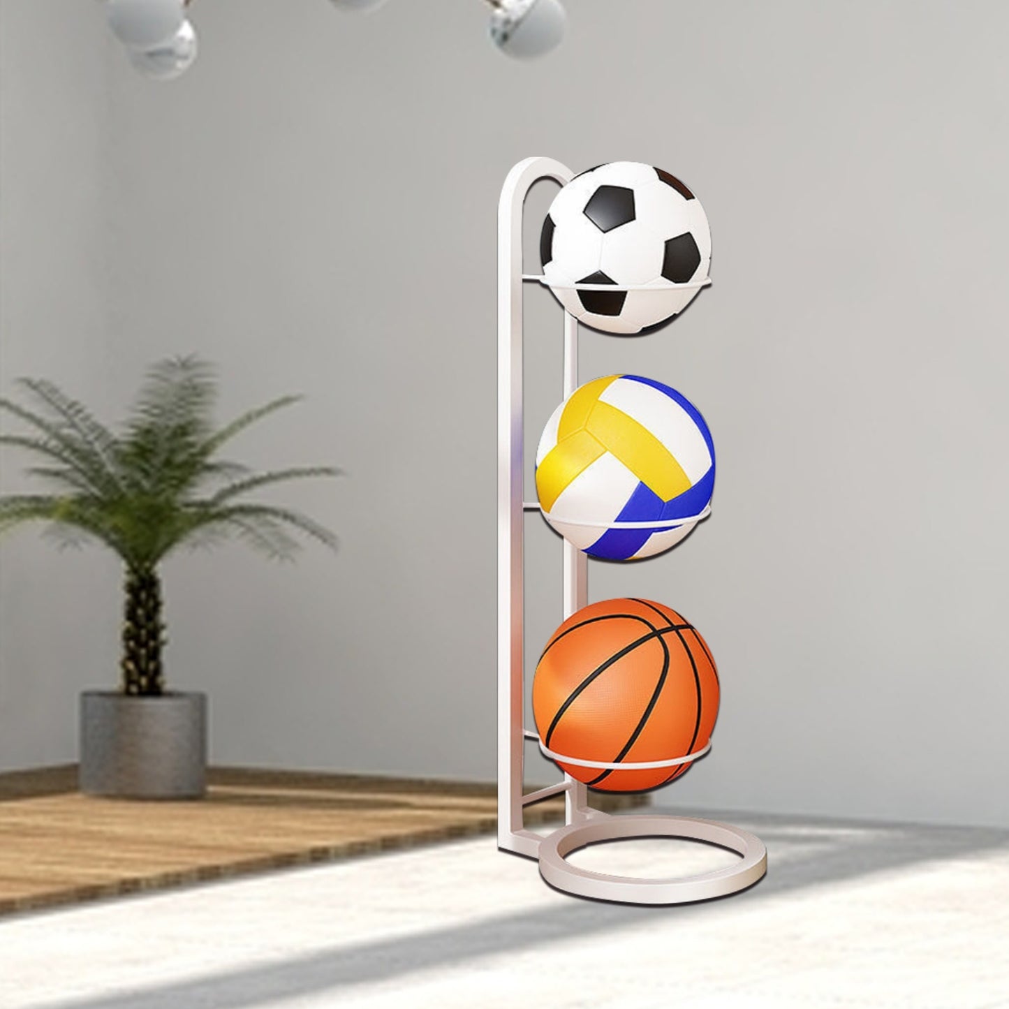 BASKET FOOTBALL SHELVE